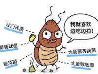 灭蟑螂记